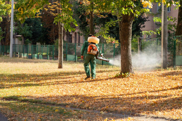 Best Termite Control Services  in Menahga, MN
