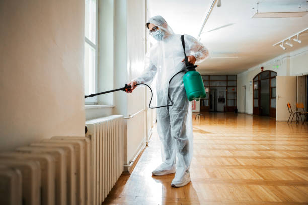 Best Local Pest Control Services  in Menahga, MN