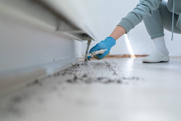 Pest Control Cost in Menahga, MN